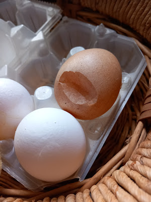 Uovo ammaccato, guscio fragile e sottile