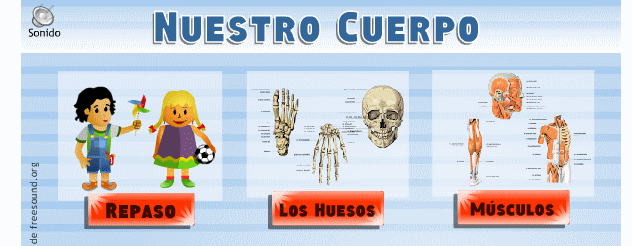 www.vedoque.com/juegos/juego.php?j=El-Cuerpo