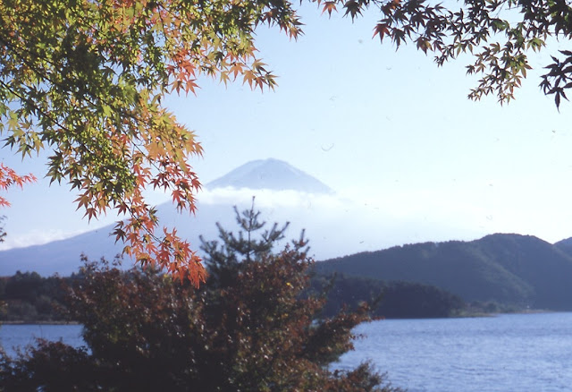 河口湖紅葉 ニコンF