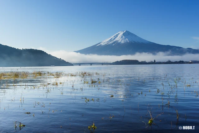 河口湖と富士山