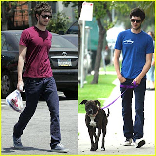 Adam Brody Hairstyle