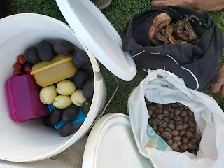 pecan nuts in a plastic bag, dried fruits in a cotton bag, avocados and more food in a bucket