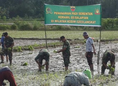 Kapten Siahaan bersama Petani Tanam padi Serentak di desa Bela Negara