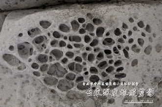 102.05悠游台東