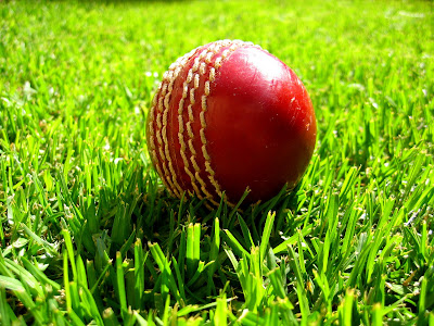 cricket ball and stumps. Four stumps or four days?