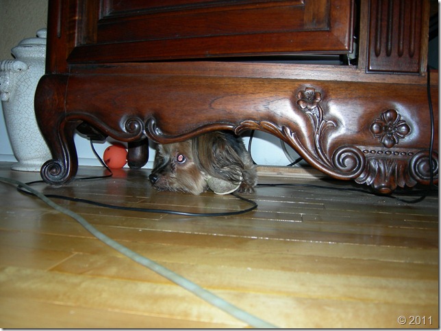 blog 135