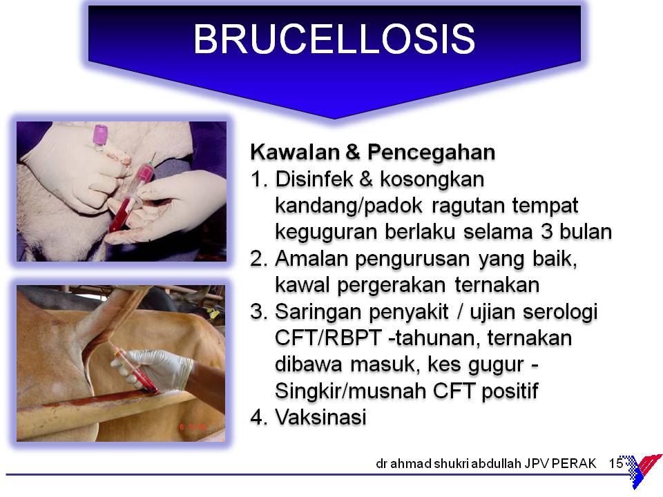 KEPENTINGAN PENCEGAHAN PENYAKIT BRUCELLOSIS KEPADA 