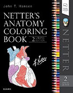 Download Anatomy Coloring Book Pdf