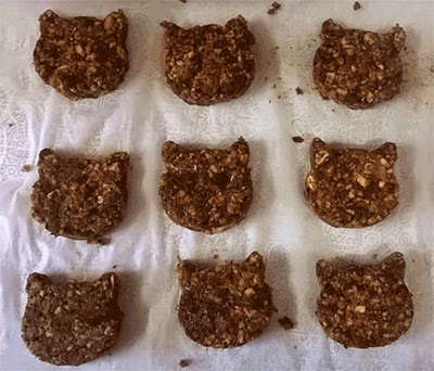 Top Inspirasi Sin Biscuits Cats