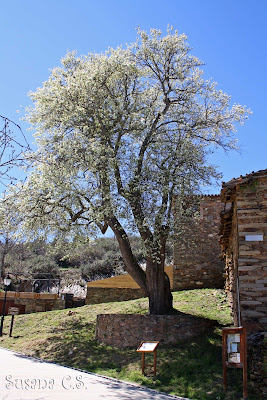 Sierra del Rincón - Madrid 