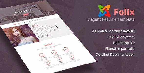 Folix Resume Template 