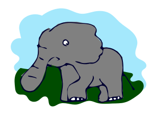 cute elephant