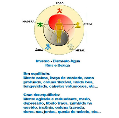 Harmonizando os Rins e a Bexiga no Inverno: Encontrando o Equilíbrio com a Medicina Tradicional Chinesa