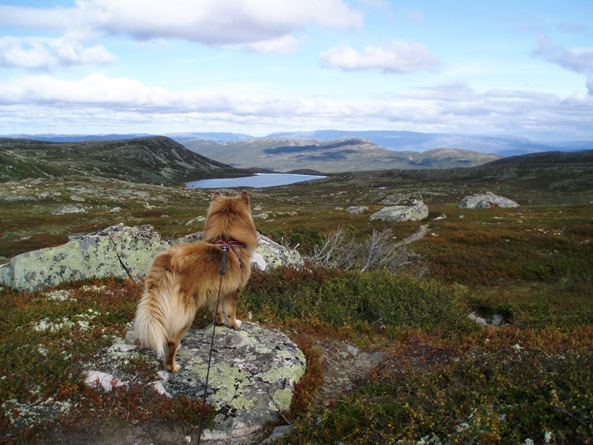 Reinsjøen 022