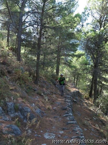 Area recreativa los Sauces - Peñón de Ronda