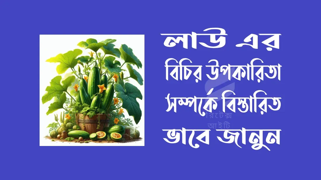 লাউ-এর-বিচির-উপকারিতা