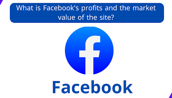 What is Facebook's profits and the market value of the site?
