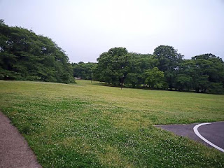 砧公園