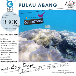 Pengalaman Snorkelling Pulau Abang dengan Wisata Galang Bahari Tour Travel 0812-6711-1161