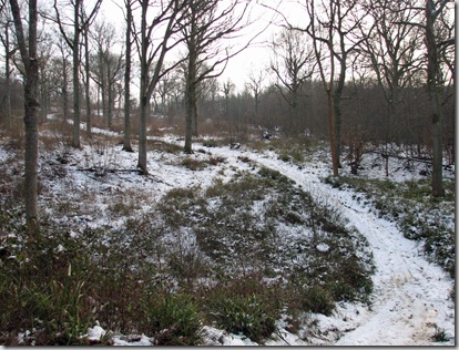 20090204 BHW 7a snow 011