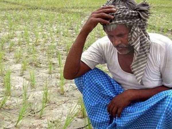 supreme court comes down heavily on tamil nadu govt on farmers suicides