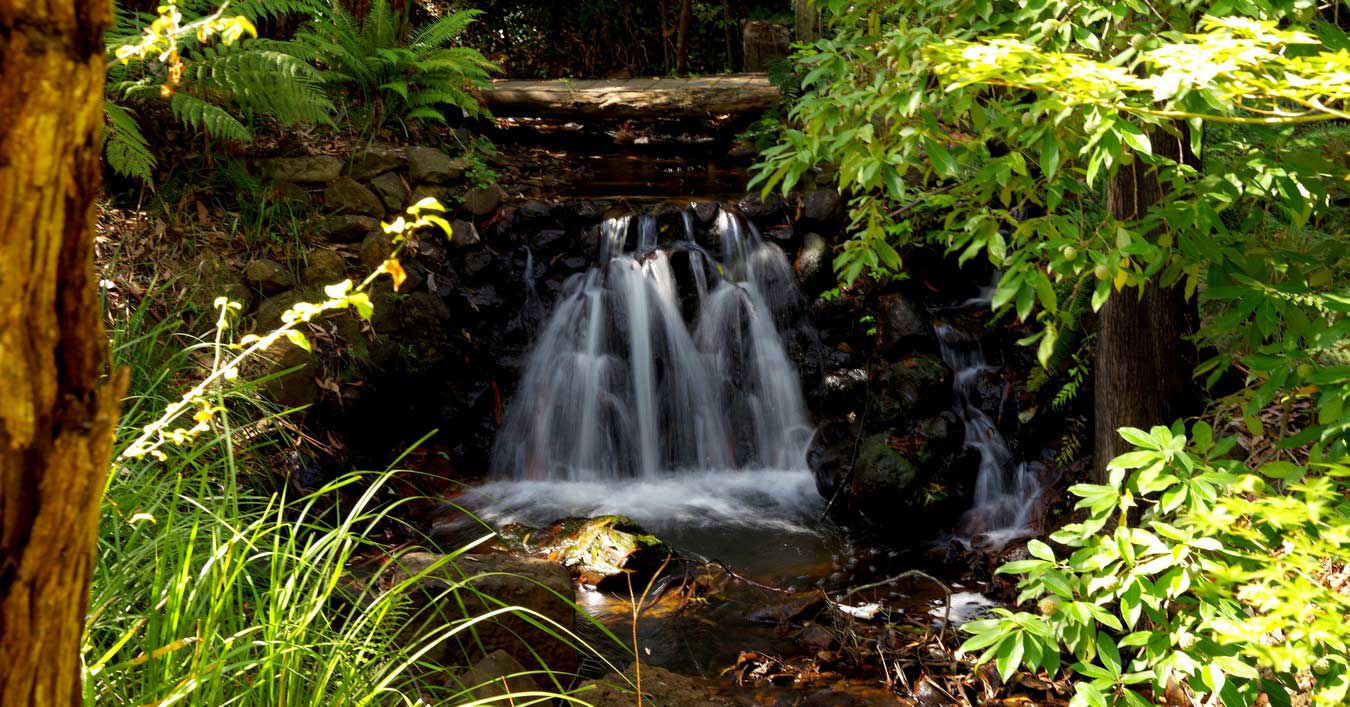 Viewfield Open Garden (Macedon)