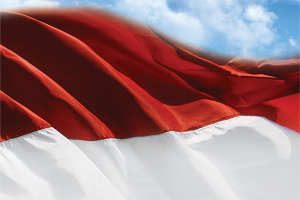 Hasil gambar untuk bendera indonesia