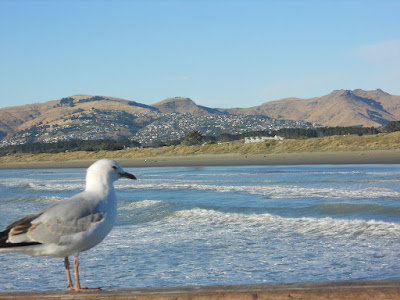 ¡Qué hacer en Christchurch! - Isla Sur - Nueva Zelanda