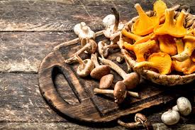 Dried Mushroom Supplier In Beed | Wholesale Dry Mushroom Supplier In Beed | Dry Mushroom Wholesalers In Beed