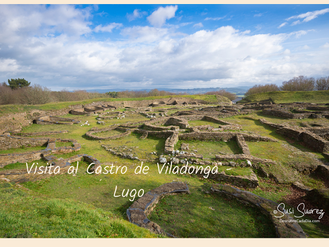 Visita al Castro de Viladonga