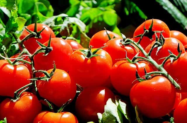 Did you know that tomatoes can protect you from gastric cancer? Health-Teachers