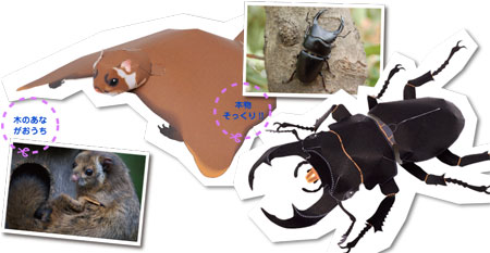 Flying Squirrel Papercraft Stag Beetle