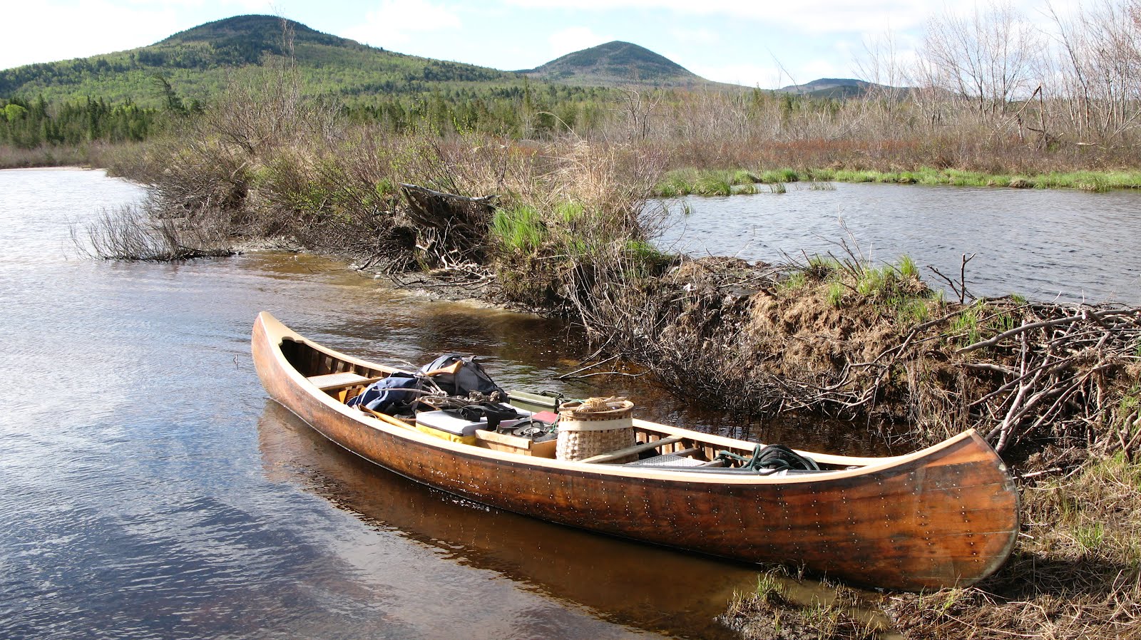 Old Canoe The old growth old town canoe