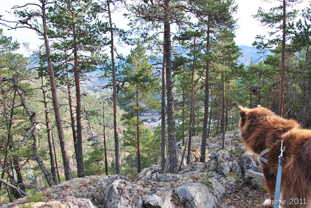 Liodden 012