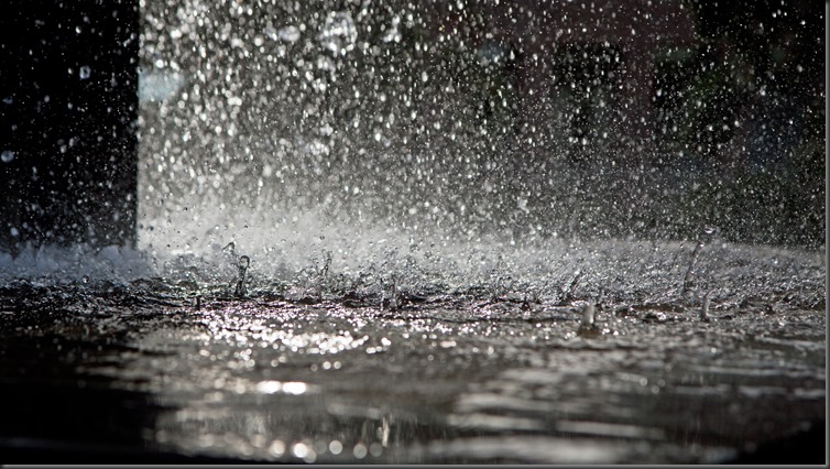 雨