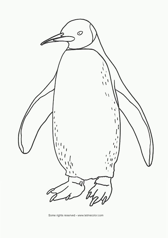 Funny Penguin Coloring Pages Collections 2011 title=