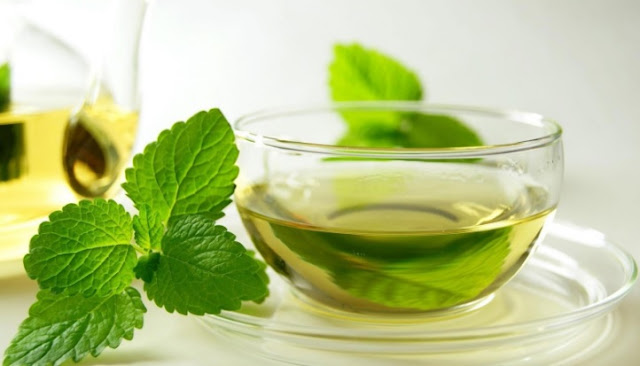 minuman daun mint