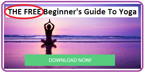  FREE GUIDE