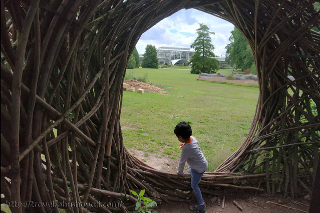 Living Willow Sculptures Meise Botanic Garden