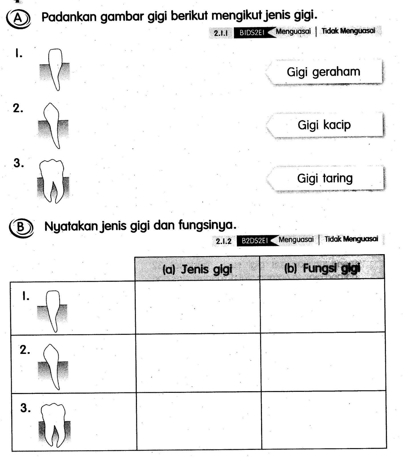 Dunia Sains dan Teknologi Tahun 3: LATIHAN