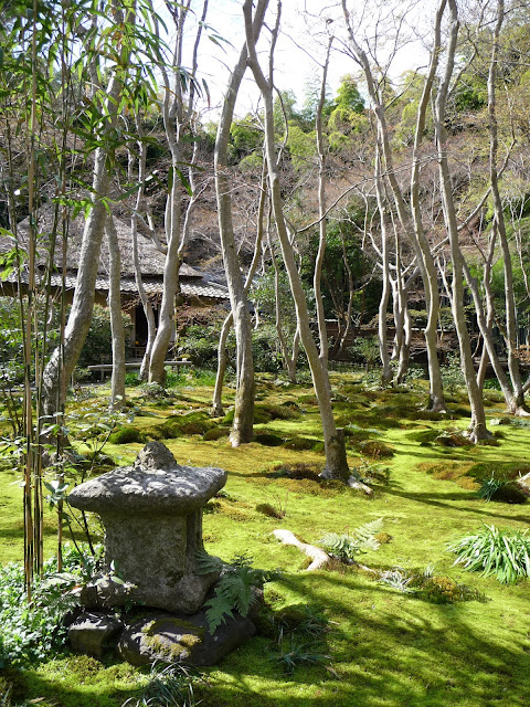 jardin de mousse