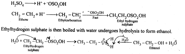 Solutions Class 12 Chemistry Chapter-11 (Alcohols Phenols and Ether)