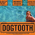 مشاهده فيلم المثير الرائع والدراماالساخنه لايصلح للصغار للكبار فقط Dogtooth مترجم مشاهدة مباشرة 