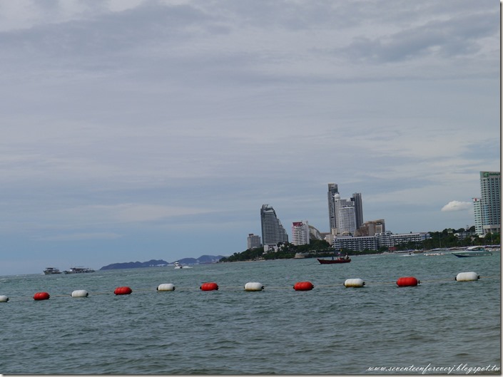 PhotoCap_011