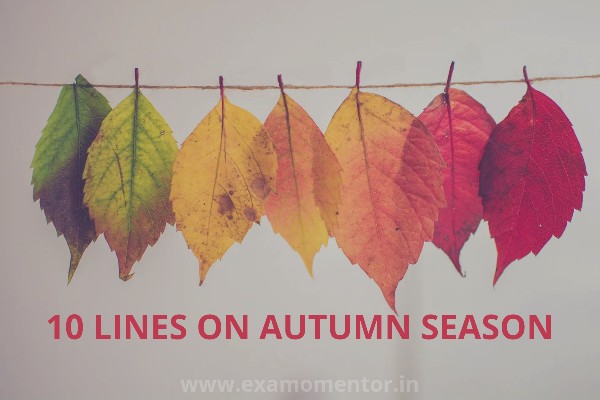 10 Lines on Autumn Season in English For Students