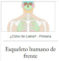 https://cienciasnaturales.didactalia.net/recurso/esqueleto-humano-de-frente-primaria/fe683138-a004-4ec3-9476-5c3d7f3787b9