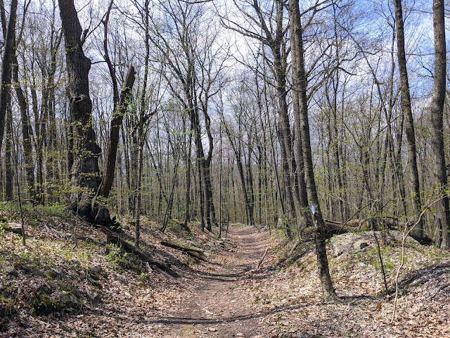 Macedonia Brook