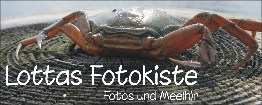 Lottas Fotokiste