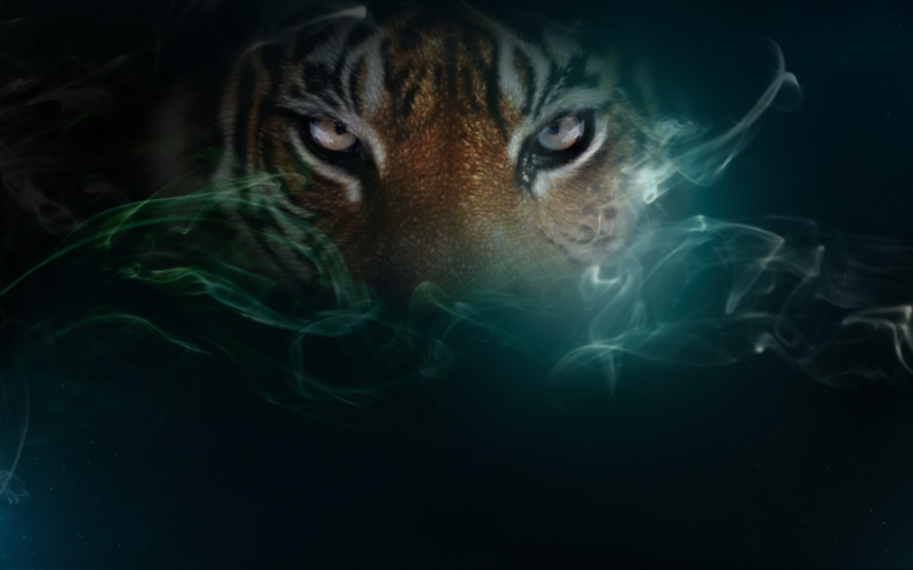 Real Tigers  Wallpaper  3D  Full HD  4K free Top Model Hairstyle