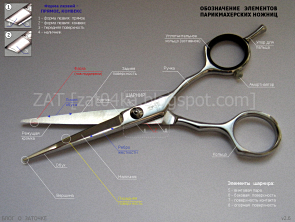 Конструкция и обозначение элементов парикмахерских ножниц